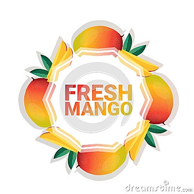 Mango fruit colorful circle copy space organic over white pattern background, healthy lifestyle or diet concept Vector Illustration