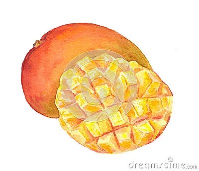 Mango fruit - cuted piece. Watercolor Cartoon Illustration