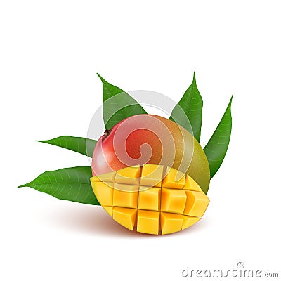 Mango fruit for fresh juice, jam, yogurt, pulp. 3d realistic yellow, green, red, orange ripe mango cubes and leaves isolated on w Vector Illustration