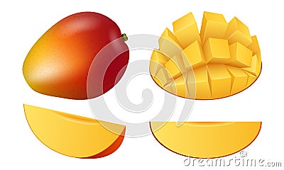 Mango fruit icon set, realistic style Vector Illustration