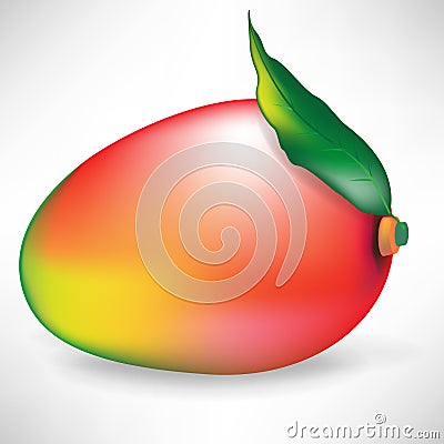 Mango fruit with leaf Vector Illustration