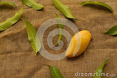 Mango fruit on linen cloth with green leaf Stock Photo