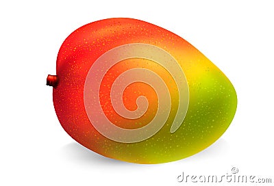 Mango fruit vector Vector Illustration