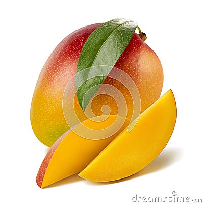 Mango leaf long slices isolated on white background Stock Photo