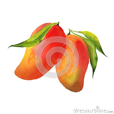 Mango with leaves Cartoon Illustration