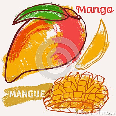 Mango line art and color hand-drawn vector illustration. Rough crayon strokes doodle in an expressive loose coloring book style Vector Illustration