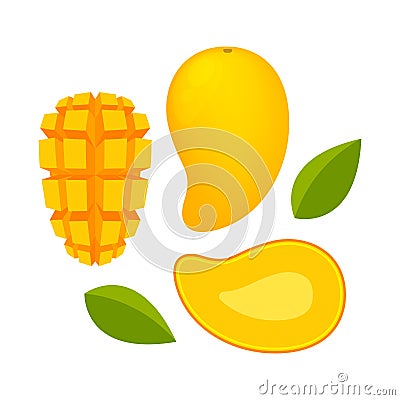 Mango ripe and slice isolated on white background, yellow mango slice half cut piece, illustration mango fruit and section slice Vector Illustration