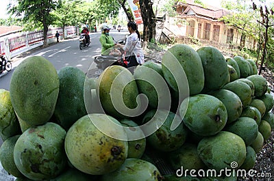 Mango Editorial Stock Photo