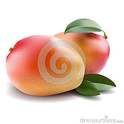 Mango Stock Photo