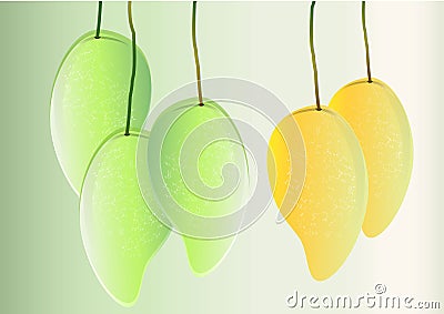 Mangos background ,green mango and yellow hanging Vector illustration Vector Illustration