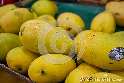 Mangos at the store Editorial Stock Photo