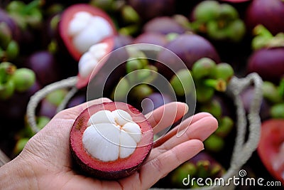 Mangosteen cut in half in woman hand on mangostana garcinia background Stock Photo