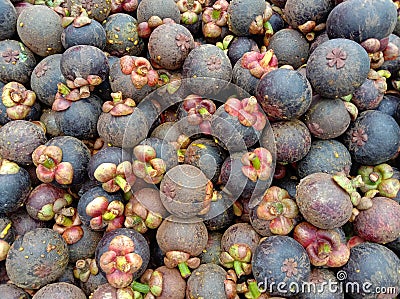 Mangosteen fruit that has been popular for Thai people for a long time. Stock Photo