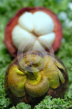 Mangosteen fruit top of stem outside and cross section inside sh Stock Photo