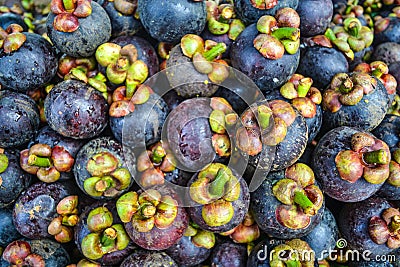 Mangosteen fruit Stock Photo