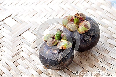 Mangosteen (tropical fruit) Stock Photo