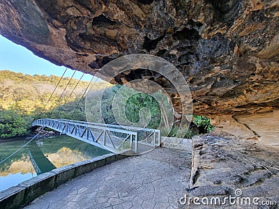 Mangrove Boardwalk at Bobbin Head in the Early in the Morning Stock Photo