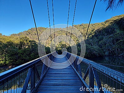 Mangrove Boardwalk at Bobbin Head in the Early in the Morning Stock Photo