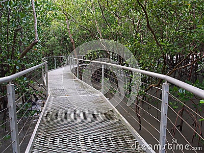 Mangrove boardwalk, East Point Reserve, Darwin, Australia Stock Photo