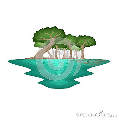 Mangrove Forest Swamp Environment Tropical Landscape Vector Illustration