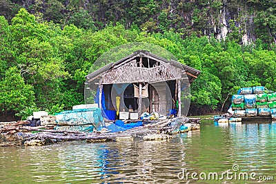 Mangrove jungle. Kayaking station. Fisher house at water Editorial Stock Photo