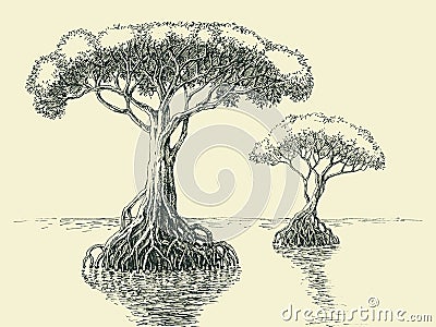 Mangrove tree hand drawing Vector Illustration