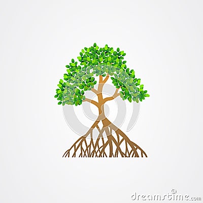 Mangrove tree with roots and green leaves vector illustration Vector Illustration