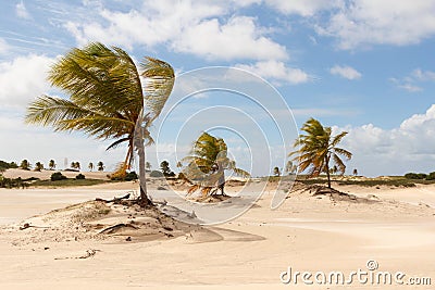 Mangue Seco, JandaÃ­ra, Bahia, Brazil Stock Photo