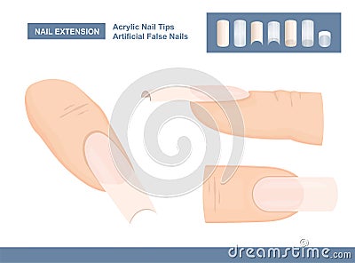 Manicure Accessories for Nail Extension. Acrylic Fingernail Tips. Artificial False Nails for Painting. Vector Vector Illustration