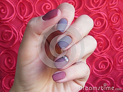 Manicure gel nail polish Stock Photo