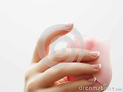 Manicure, Hands spa Beautiful woman hands, soft skin, beautiful nails with pink rose flowers petals. Healthy Woman hands. Beauty s Stock Photo