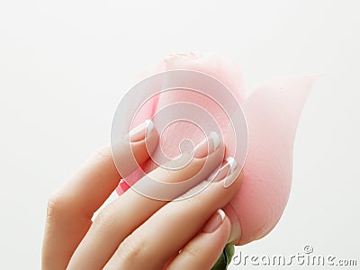 Manicure, Hands spa Beautiful woman hands, soft skin, beautiful nails with pink rose flowers petals. Healthy Woman hands. Beauty s Stock Photo