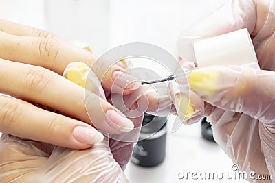 Manicure. the manicurist applies the base to the client under gel polish. transparent base on the nails. Stock Photo