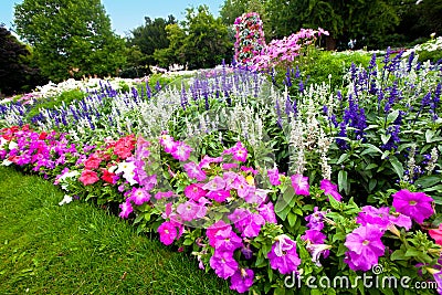 Manicured flower garden with colorful azaleas. Stock Photo