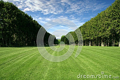 Manicured Lawn - Large Green Field Stock Photo