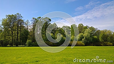 Manicured lawn in a neat Park with trees in the background Stock Photo