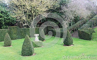 Benington Lordship Gardens, bushes and lawn Stock Photo