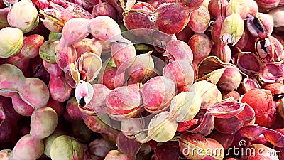 Manila tamarind fruit for sale in supermarket, Manila tamarind fruit background, tropical Thai fruit, Food available to everyone Stock Photo