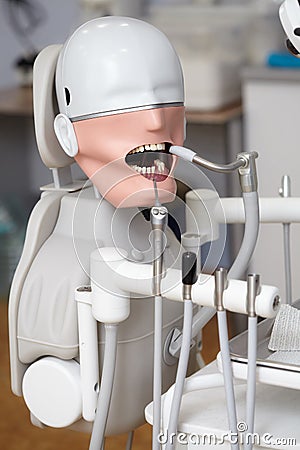 Mannequin or dummy for dentist students training in dental faculties Stock Photo