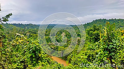 Manokwari's natural charm with beautiful tropical forests Stock Photo