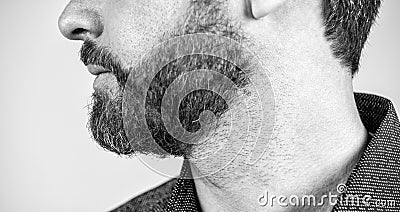 Mans face cropped view with bearded skin and facial hair grey background, skincare Stock Photo