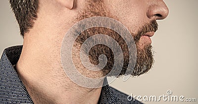 Mans face cropped view with bearded skin and facial hair grey background, skincare Stock Photo