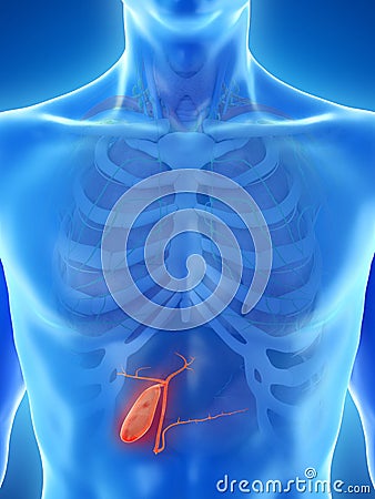 A mans gallbladder Cartoon Illustration