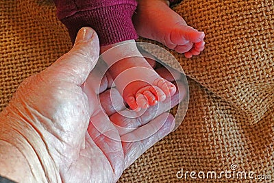 Mans hand holding new born baby's small feet. Stock Photo