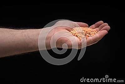 Mans hand holding orange lentil Stock Photo