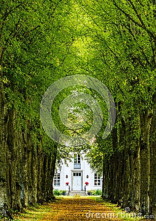 Mansion at the end of a green alley Stock Photo