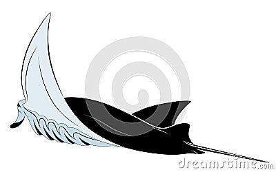 Manta Ray Vector Illustration