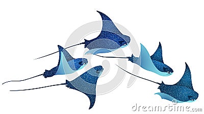 Manta ray fishes, marine animals, sea creatures set vector illustration Vector Illustration