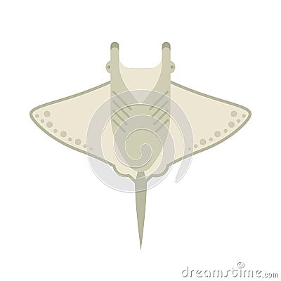 Manta Ray or Stingray Vector Illustration Vector Illustration