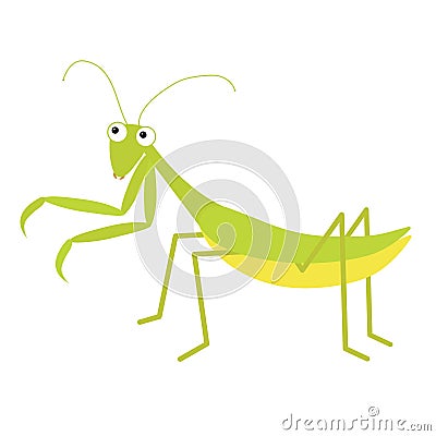 Mantis icon. Cute cartoon kawaii funny character. Green insect isolated. Praying mantid. Big eyes. Smiling face. Flat design. Baby Vector Illustration